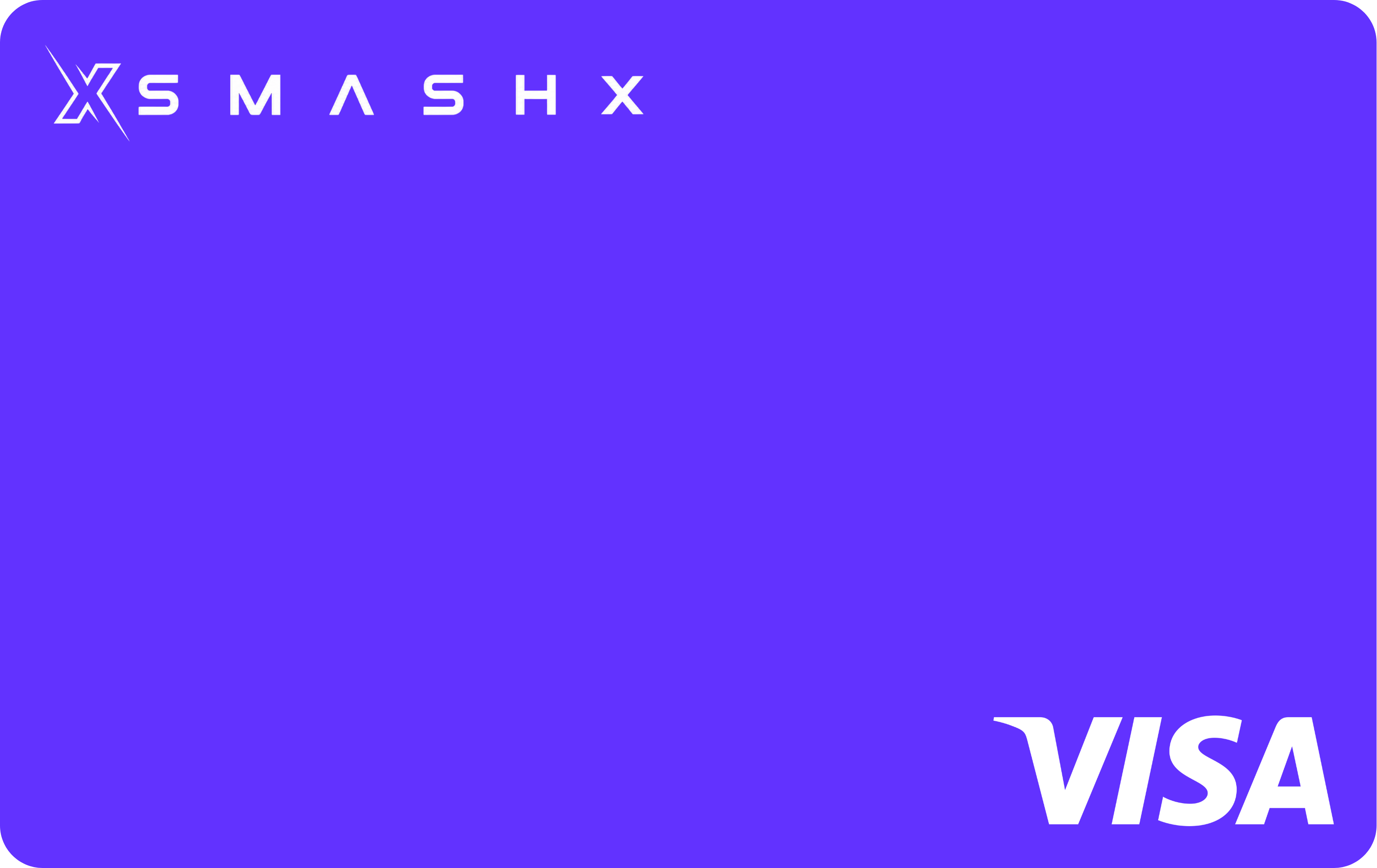 SmashX Card Purple